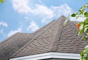 What Our Roofing Company Wants You to Know About PSR+