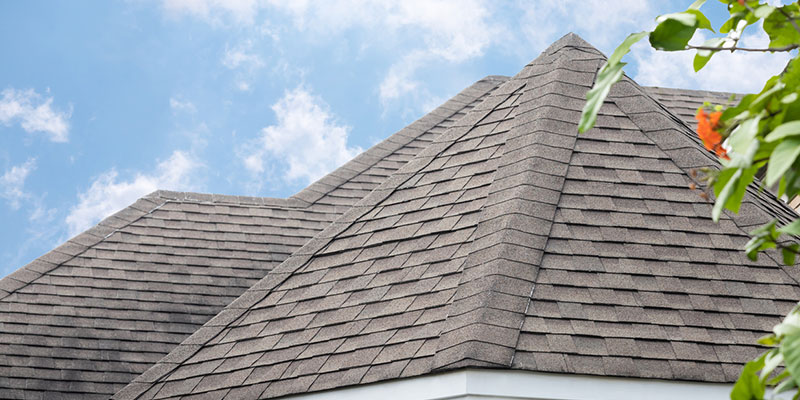 What Our Roofing Company Wants You to Know About PSR+ 